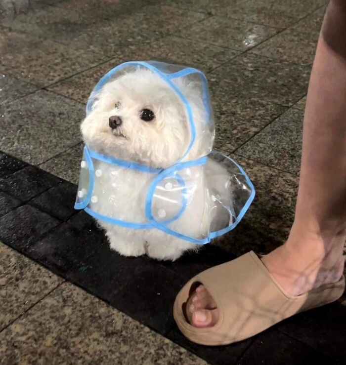 1.9M People Are Enjoying Wholesome Content From This FB Group, So Here Are 50 Of Their Best Posts (New Pics)