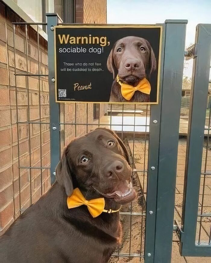 1.9M People Are Enjoying Wholesome Content From This FB Group, So Here Are 50 Of Their Best Posts (New Pics)