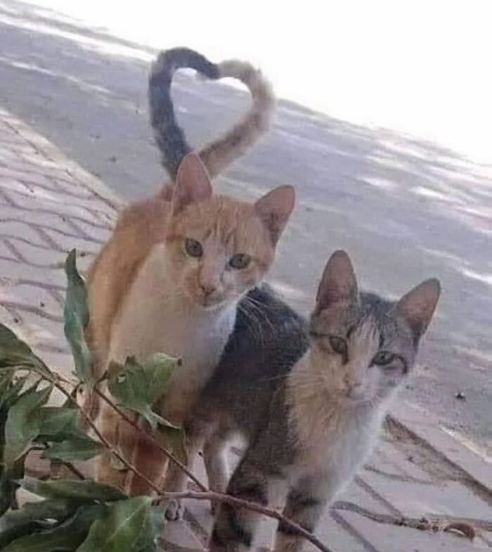1.9M People Are Enjoying Wholesome Content From This FB Group, So Here Are 50 Of Their Best Posts (New Pics)