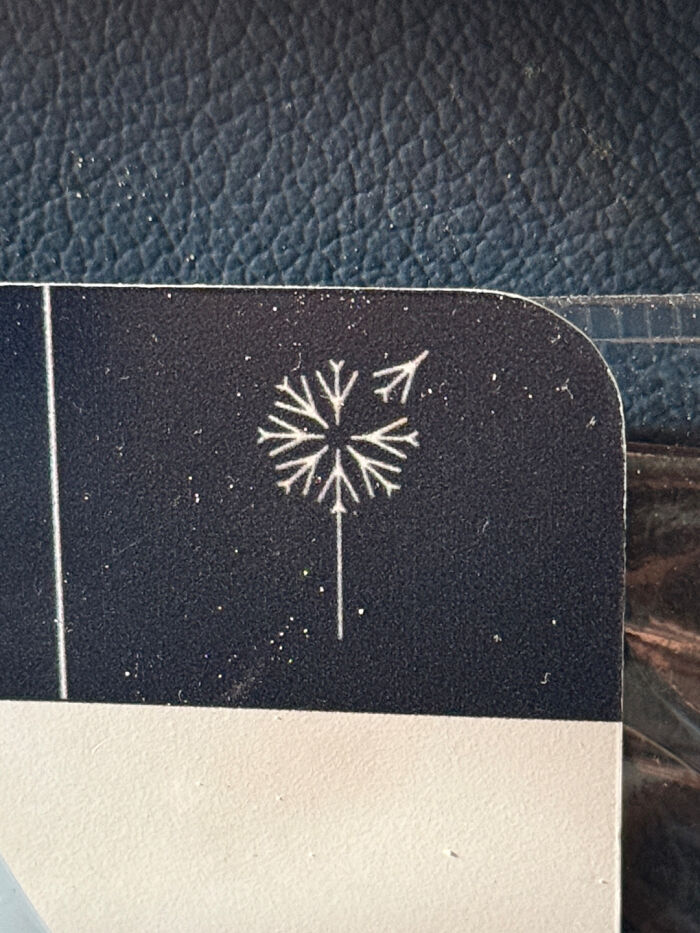 Gráfico de Air Serbia en el folleto de vuelo