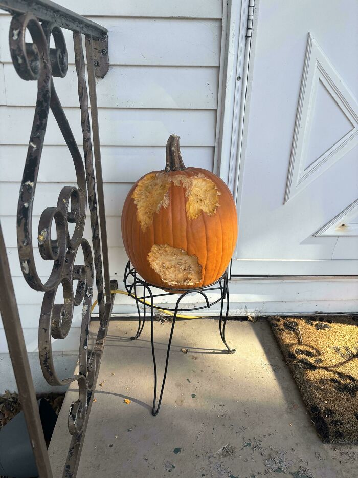 Las ardillas del vecindario han tallado la calabaza