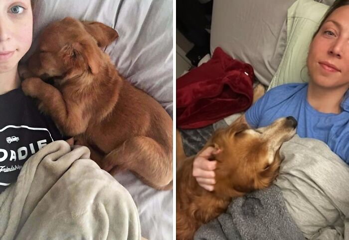 Hace 8 años a la gente le encantó esta foto mía con mi golden. Actualización: aún no ha aprendido a respetar el espacio personal 