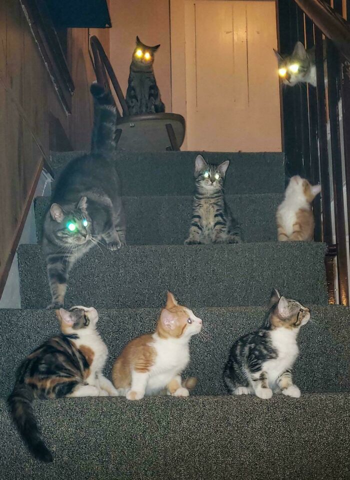 Todos reunidos