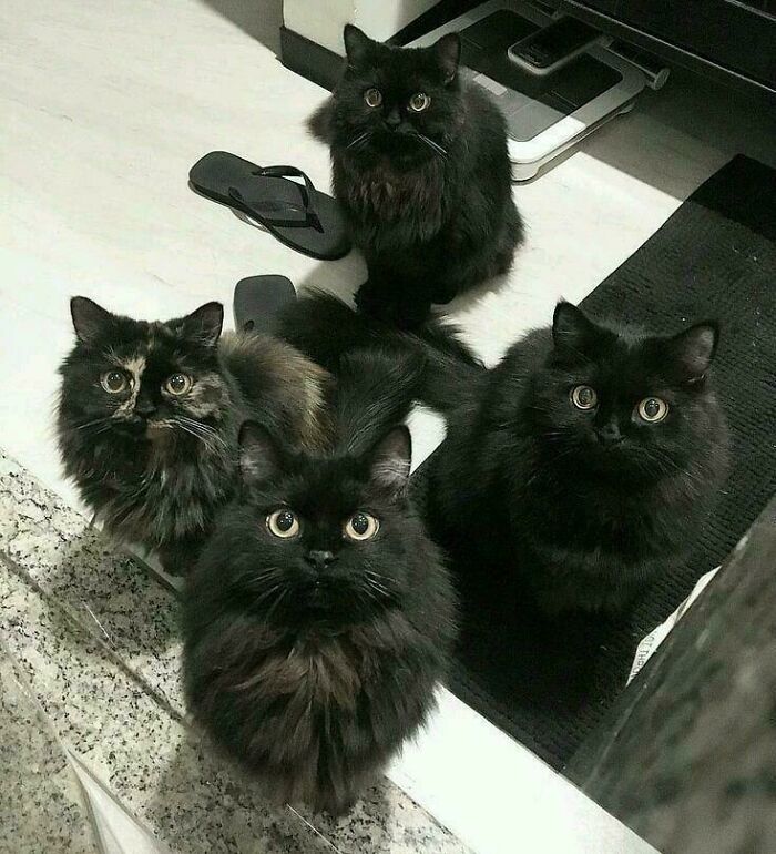 ?