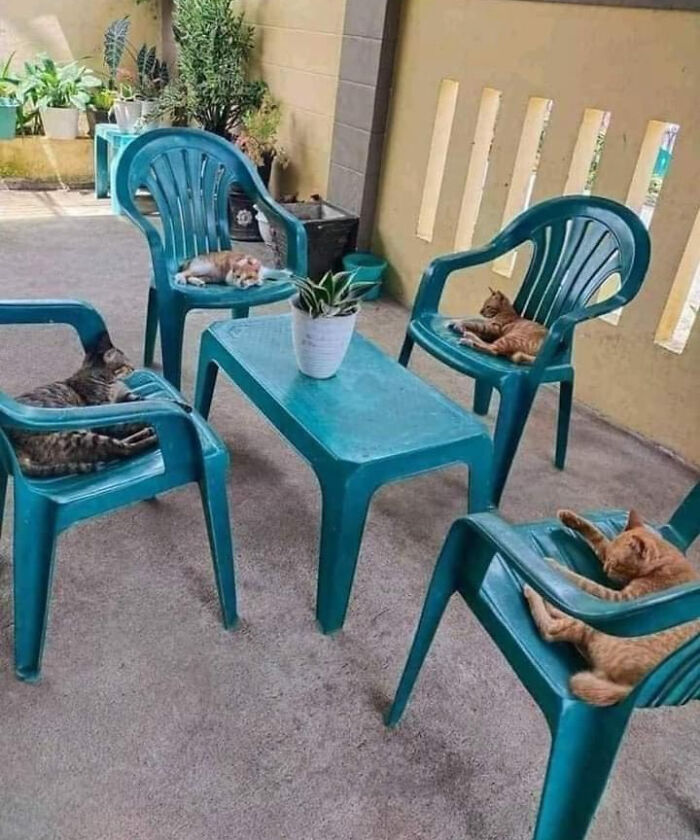 Reunión anual