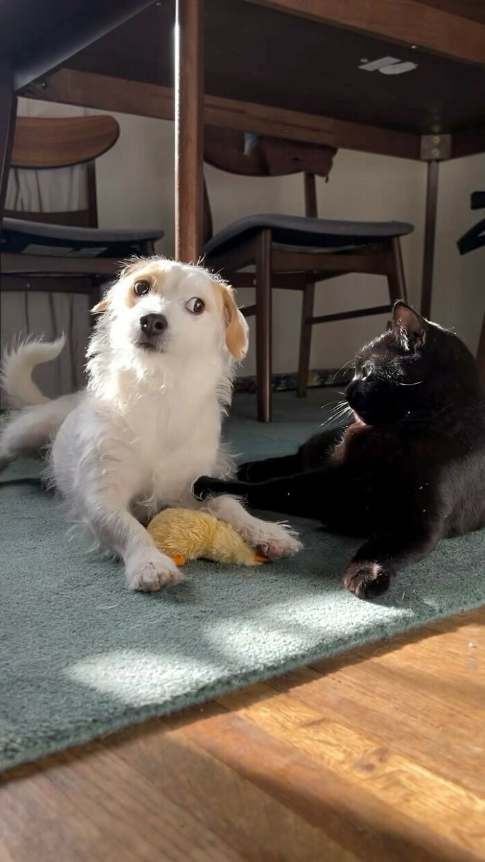 50 Delightfully Random Photos To Make Your Day A Little Brighter