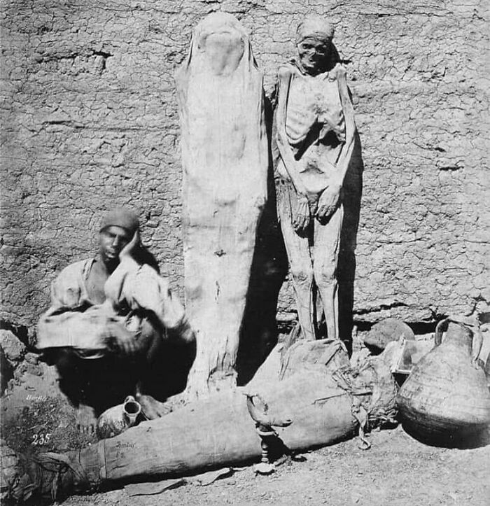 Vendedor ambulante egipcio vendiendo momias en 1865