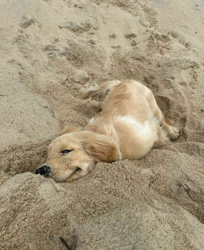 50 Delightfully Random Photos To Make Your Day A Little Brighter