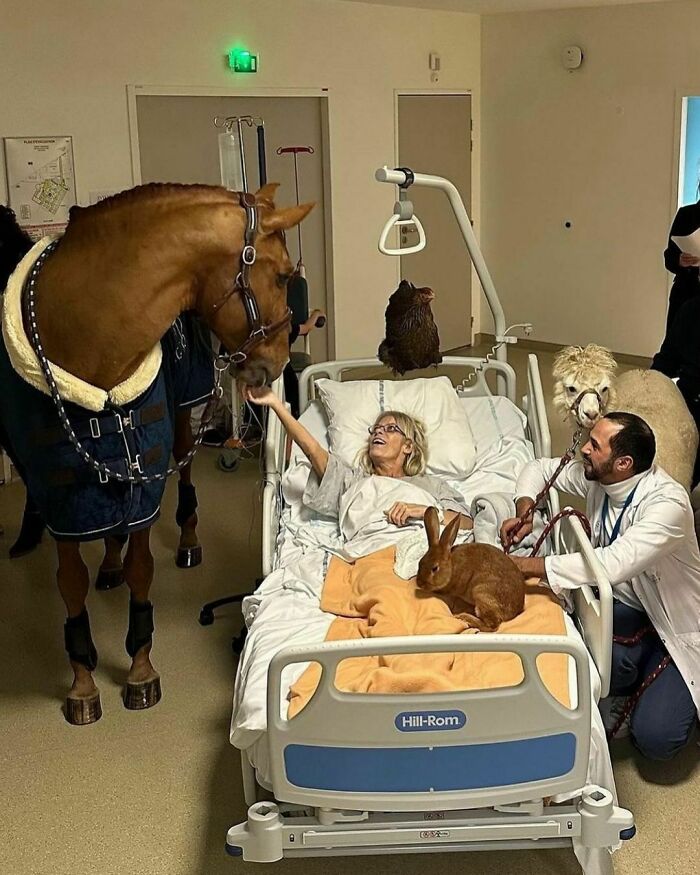 50 Delightfully Random Photos To Make Your Day A Little Brighter