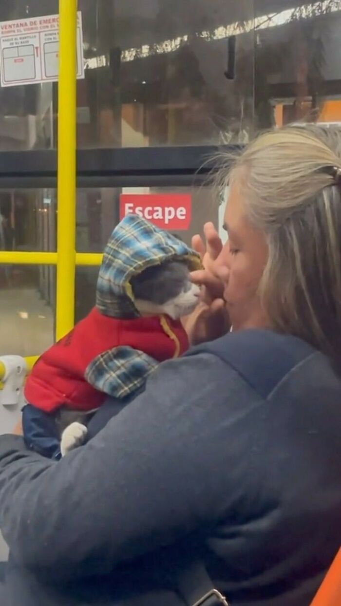 50 Delightfully Random Photos To Make Your Day A Little Brighter