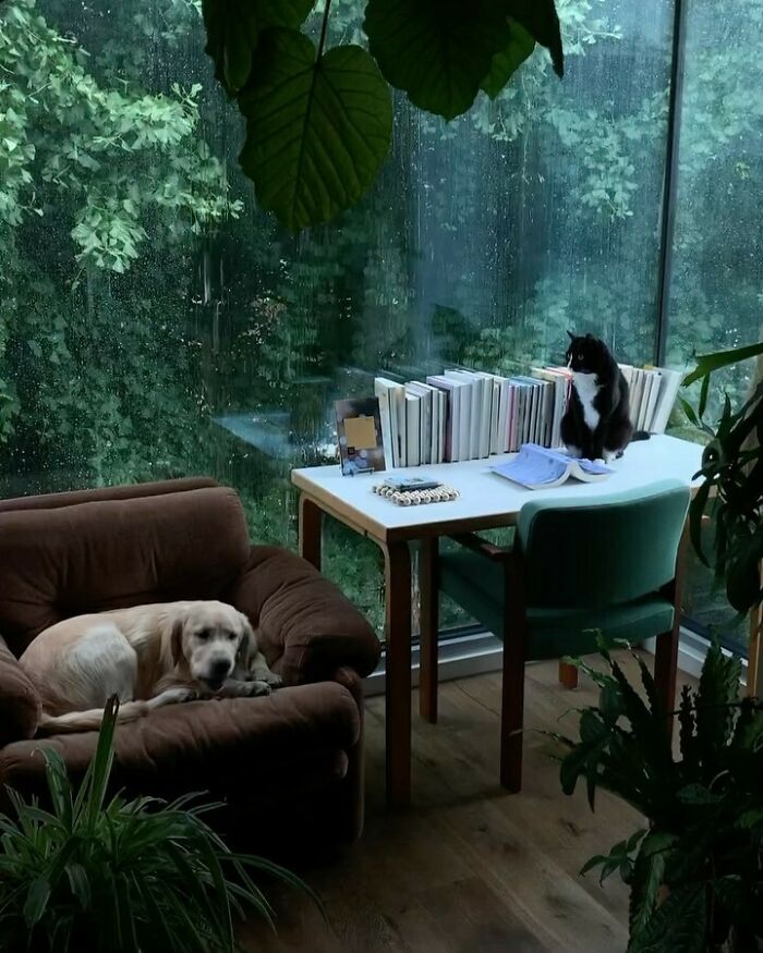 50 Delightfully Random Photos To Make Your Day A Little Brighter