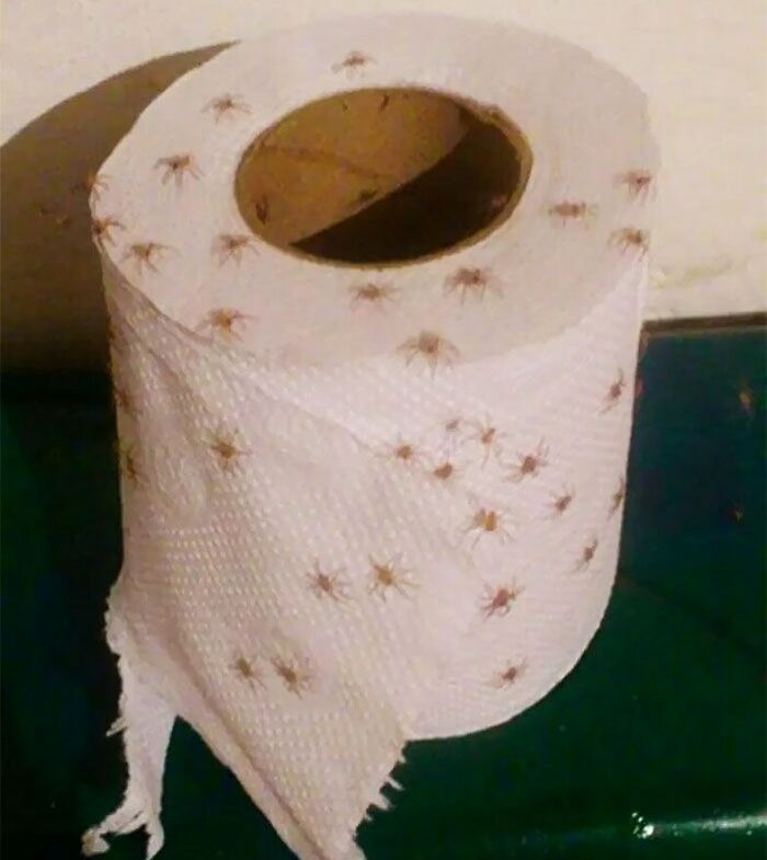 35 Times Reality Took A Dark, Hilarious Twist, Only To Be Encapsulated In Bizarre Pics