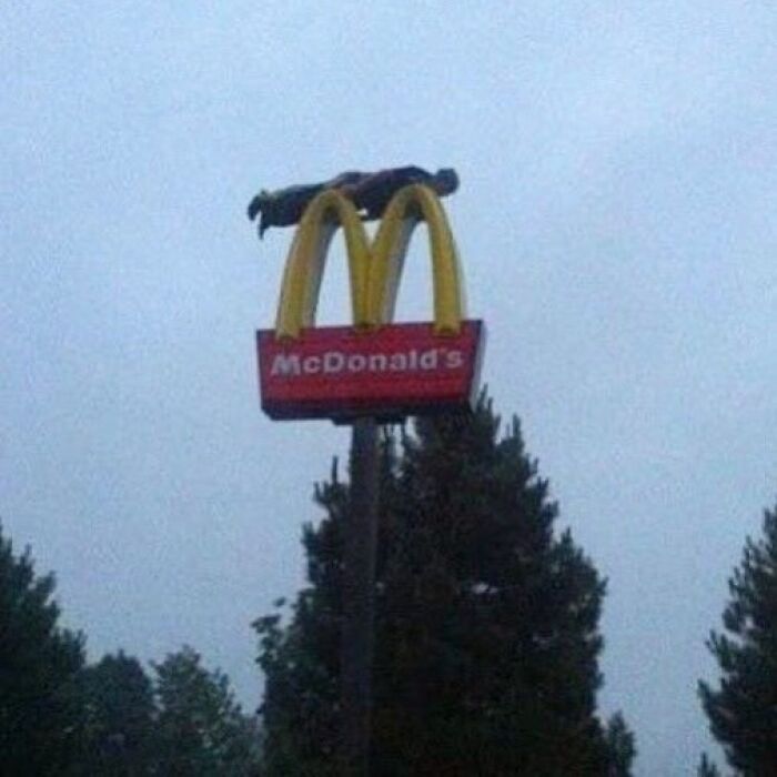 35 Times Reality Took A Dark, Hilarious Twist, Only To Be Encapsulated In Bizarre Pics