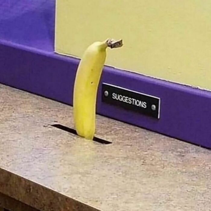 35 Times Reality Took A Dark, Hilarious Twist, Only To Be Encapsulated In Bizarre Pics