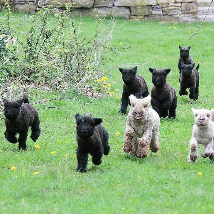 50 Delightfully Random Photos To Make Your Day A Little Brighter
