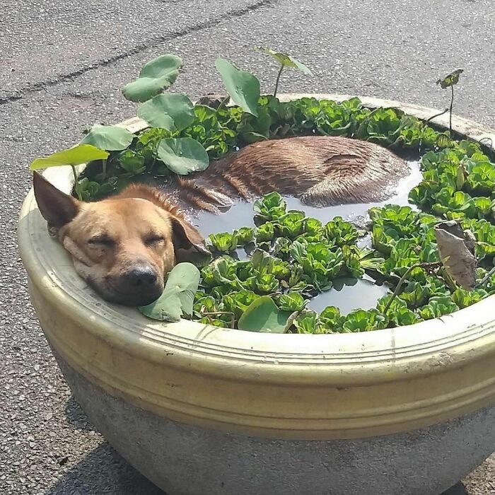 50 Delightfully Random Photos To Make Your Day A Little Brighter
