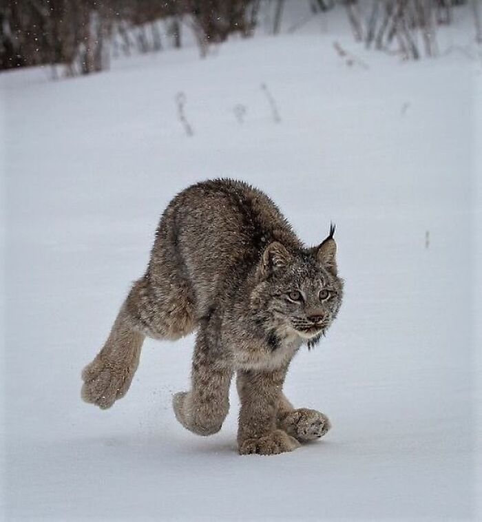 50 Delightfully Random Photos To Make Your Day A Little Brighter