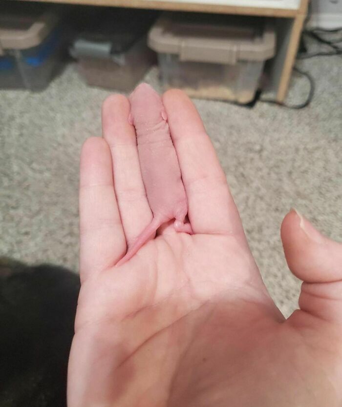50 Delightfully Random Photos To Make Your Day A Little Brighter