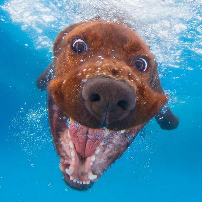 50 Delightfully Random Photos To Make Your Day A Little Brighter