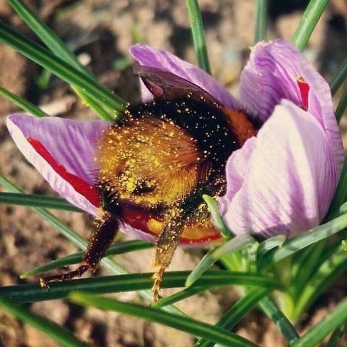 50 Delightfully Random Photos To Make Your Day A Little Brighter
