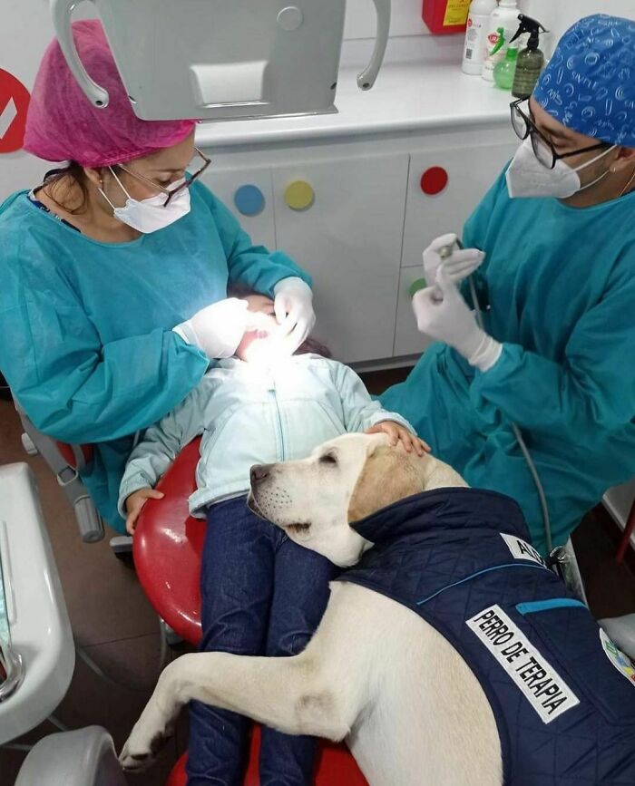 50 Delightfully Random Photos To Make Your Day A Little Brighter