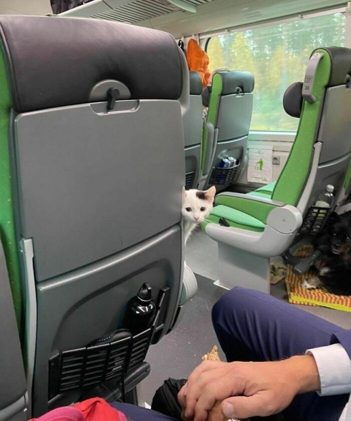 50 Delightfully Random Photos To Make Your Day A Little Brighter