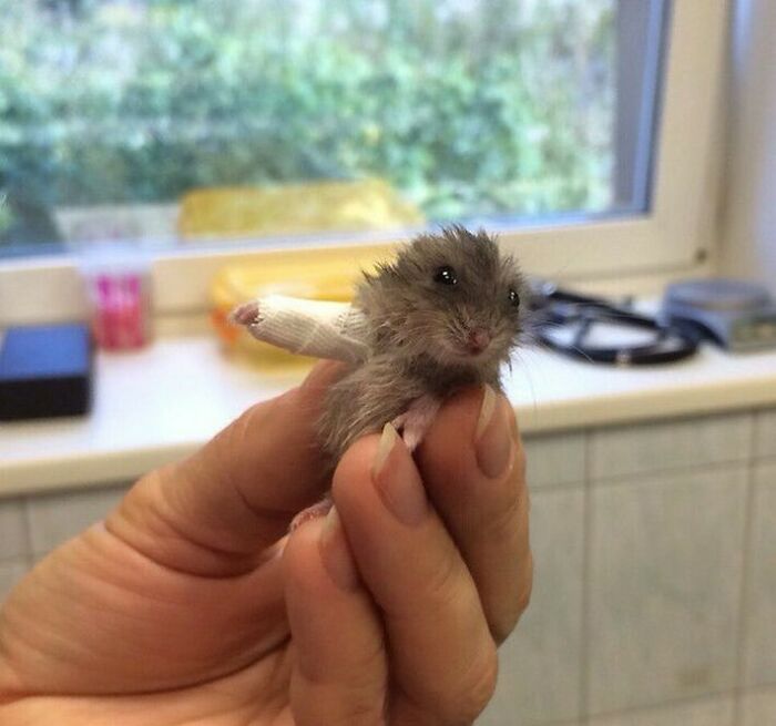50 Delightfully Random Photos To Make Your Day A Little Brighter