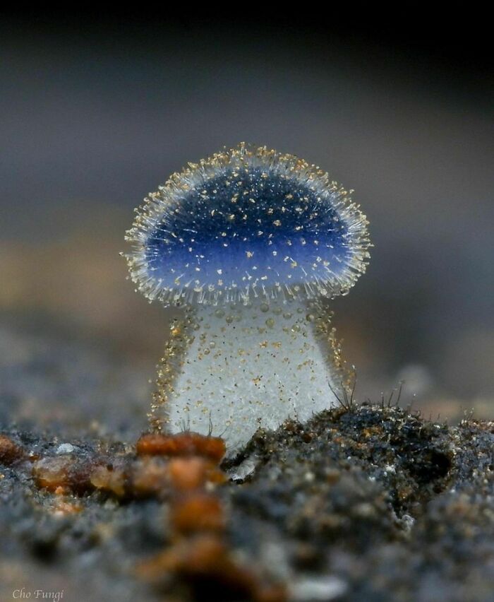 50 Delightfully Random Photos To Make Your Day A Little Brighter