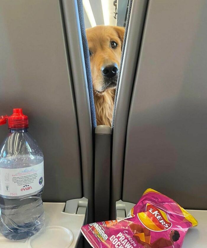50 Delightfully Random Photos To Make Your Day A Little Brighter