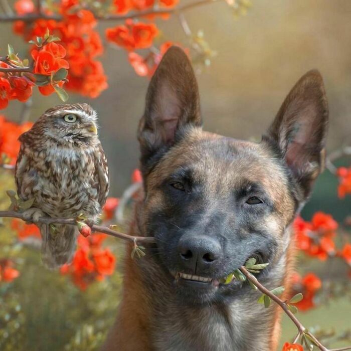 50 Delightfully Random Photos To Make Your Day A Little Brighter