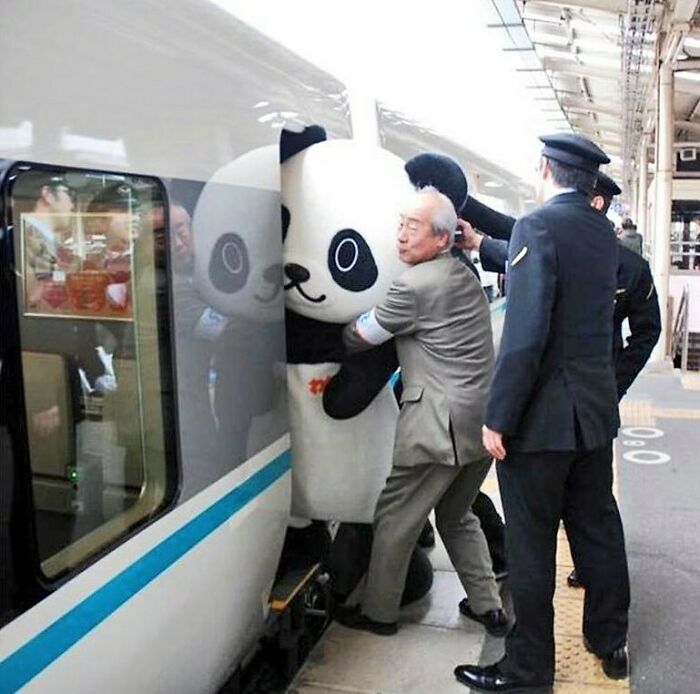 50 Delightfully Random Photos To Make Your Day A Little Brighter