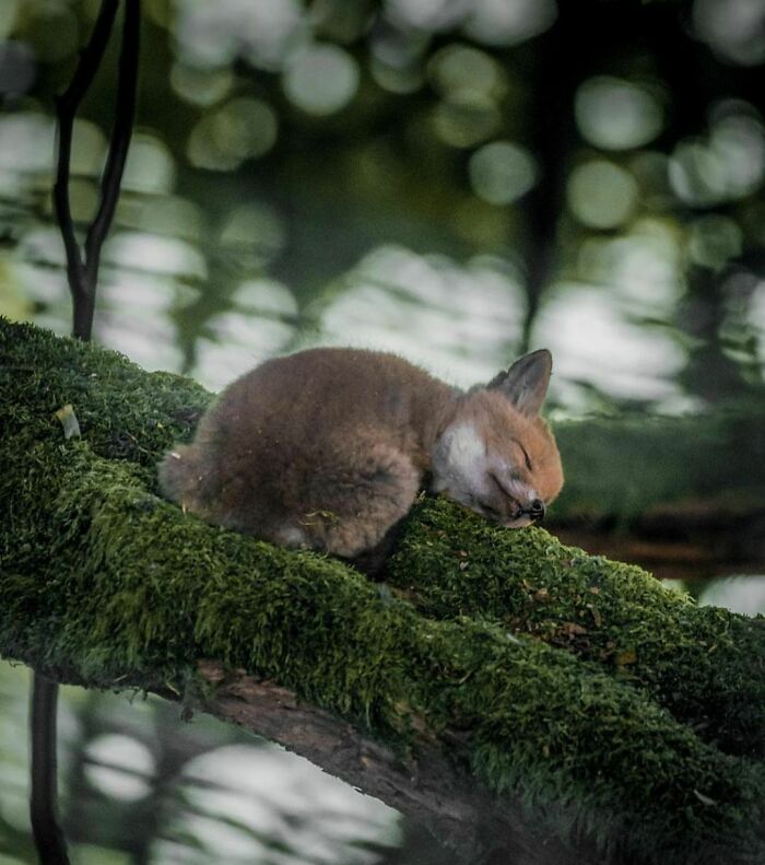 50 Delightfully Random Photos To Make Your Day A Little Brighter