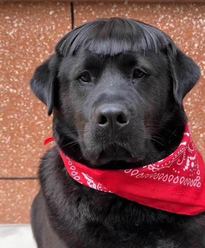50 Delightfully Random Photos To Make Your Day A Little Brighter