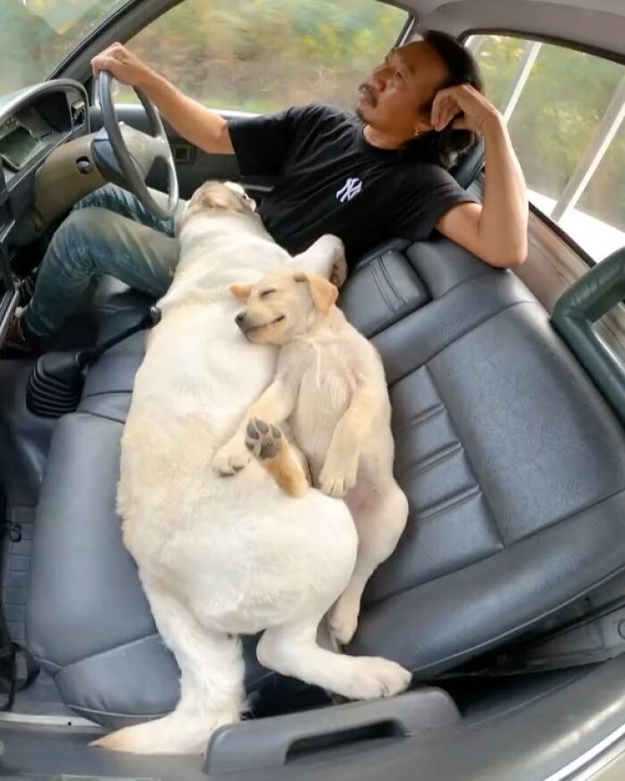 50 Delightfully Random Photos To Make Your Day A Little Brighter