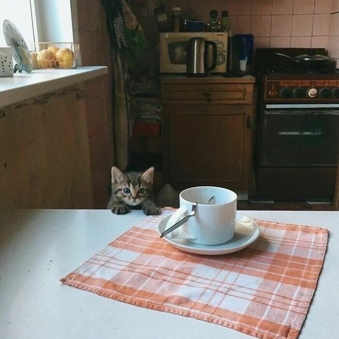 50 Delightfully Random Photos To Make Your Day A Little Brighter