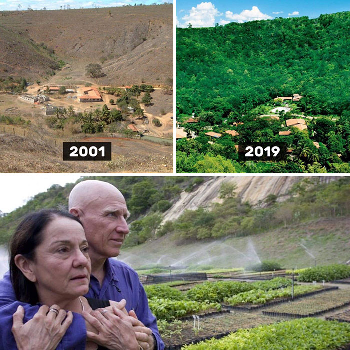 En Brasil, esta pareja plantó 2 millones de árboles en 18 años. Verdaderos héroes