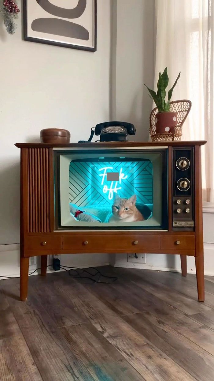 Buen rincón para el gato hecho a mano