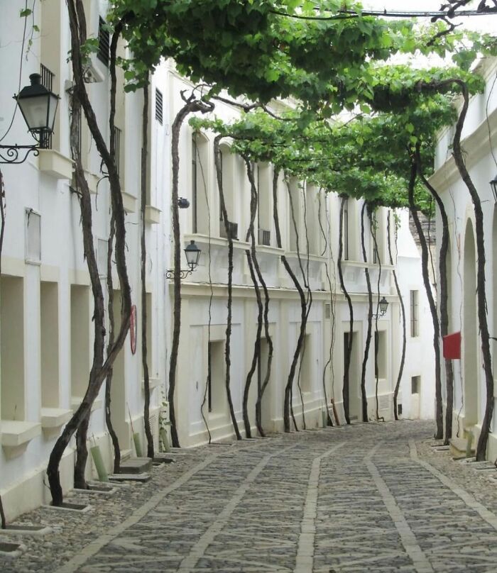 Jerez De La Frontera, España