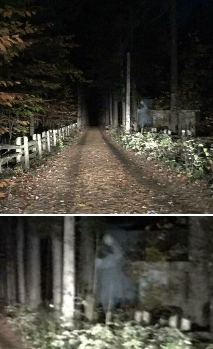 Alquilé una cabaña hace unos años para una fiesta de cumpleaños. Acabo de ver esta foto y pensé que era extraño. ¿Alguien más lo vio? Era de noche y estaba oscuro, así que tenía las luces altas encendidas.