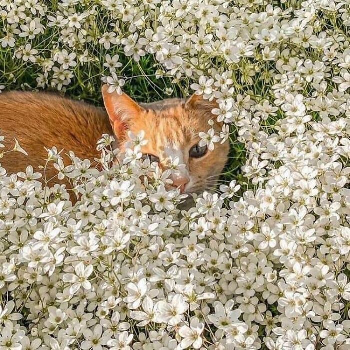1.9M People Are Enjoying Wholesome Content From This FB Group, So Here Are 50 Of Their Best Posts (New Pics)