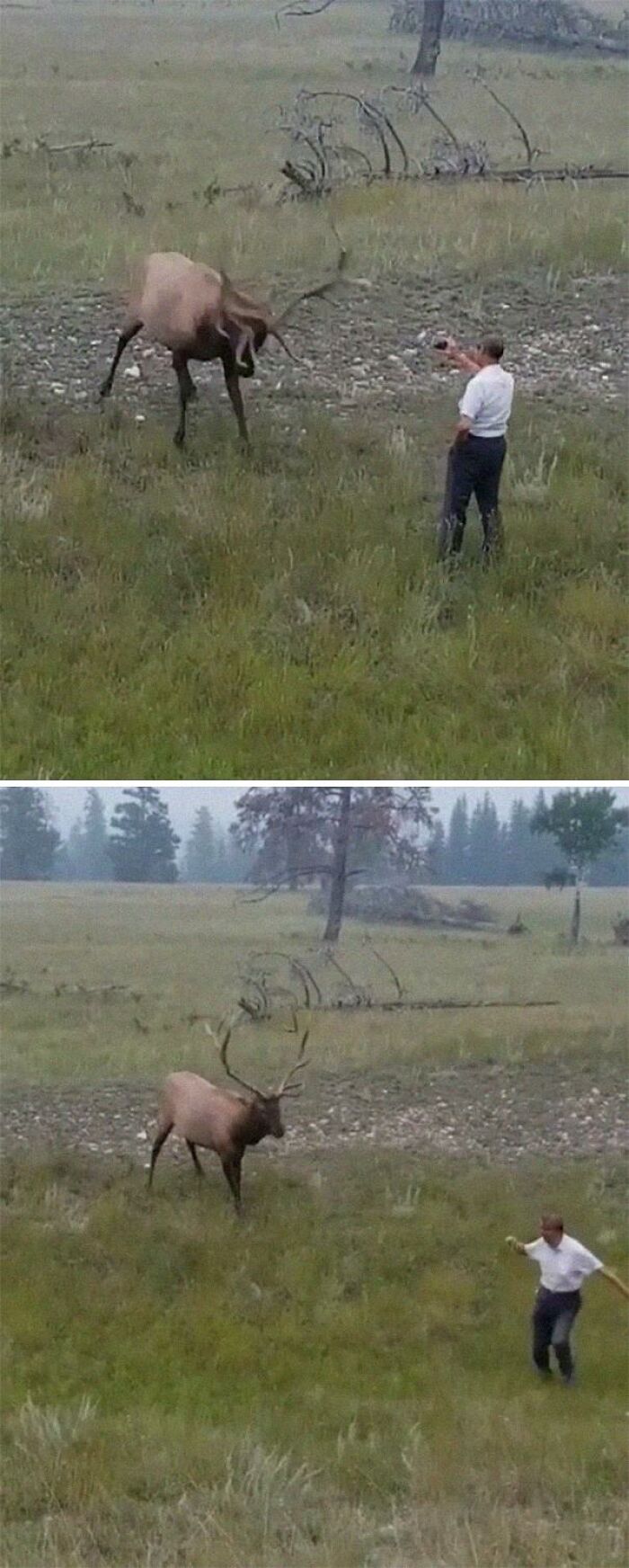 ¿No sabe usar el zoom de la cámara?