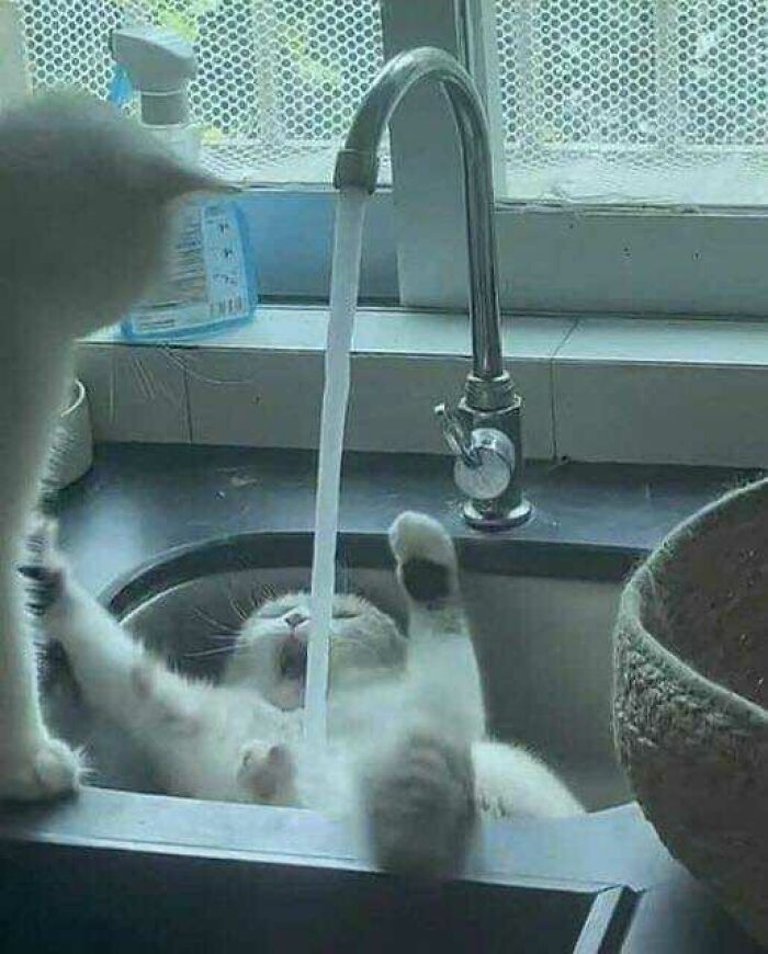50 Pics That Are So Ridiculously Random, You Can’t Help But Laugh