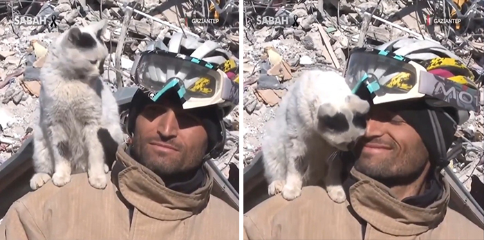 El gato, salvado de los escombros, no se separa de su salvador (Turquía)