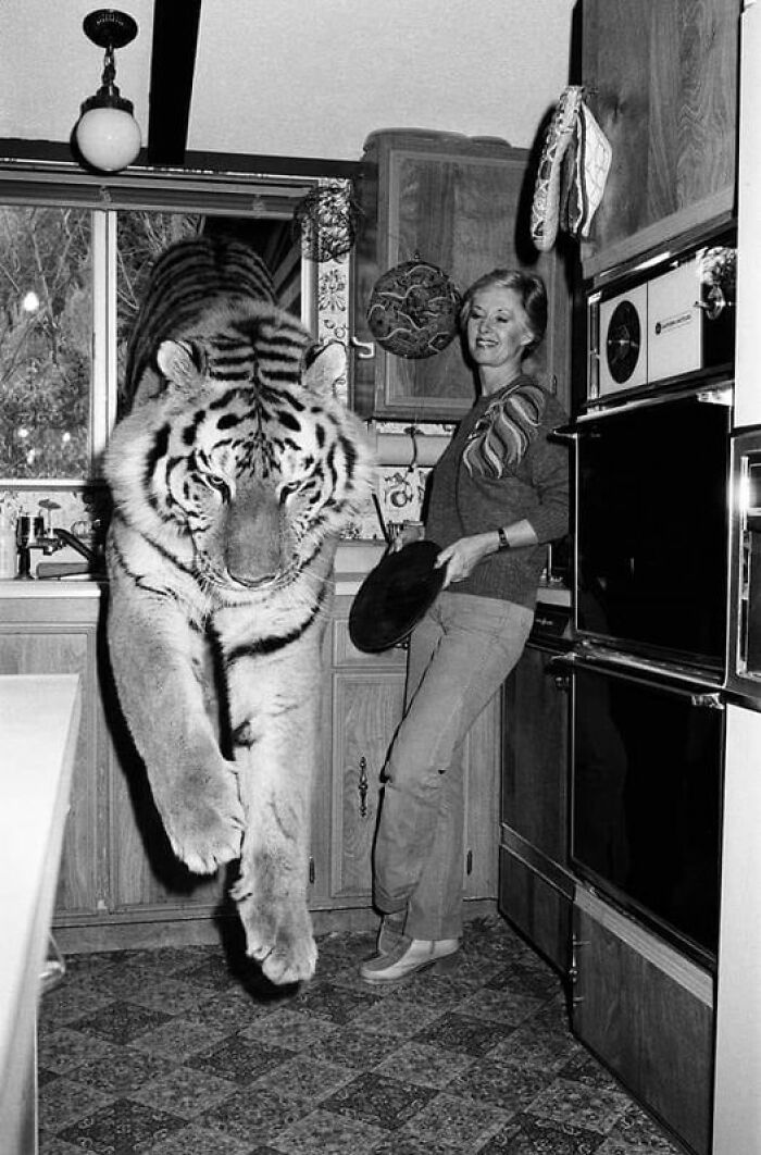 Tippi Hedren y su tigre, 1982