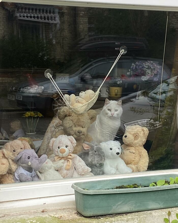 Tomada en Cambridge, Inglaterra, por @maxymachen