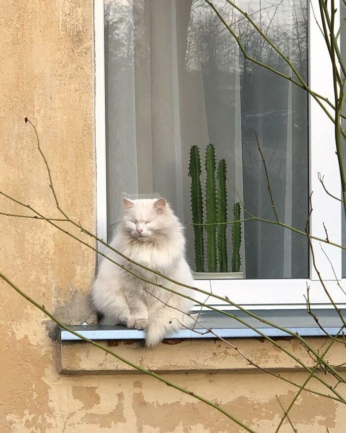 Tomada en Vilnius, Lituania, por @katvainila