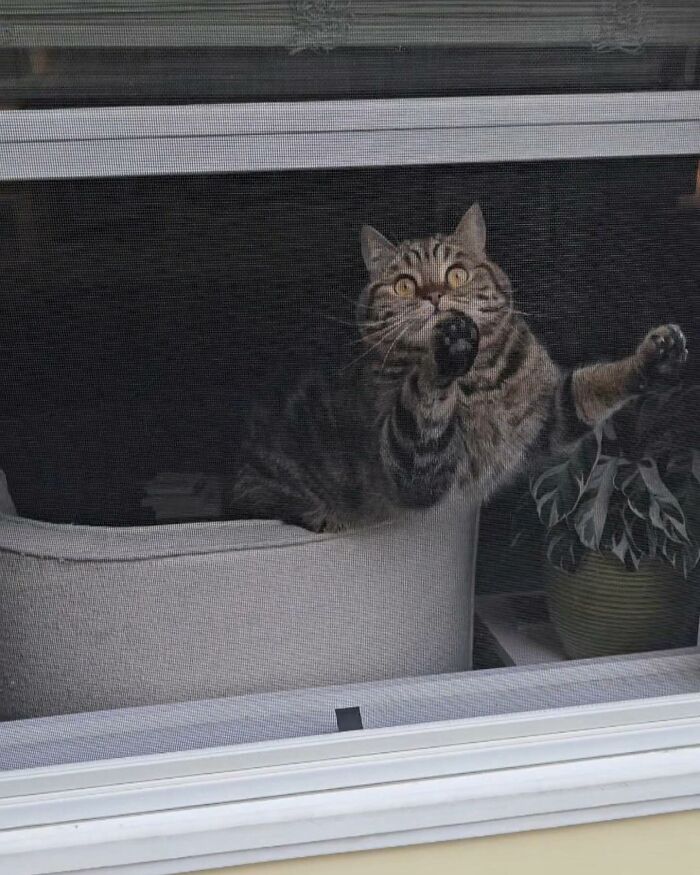 Tomada en Warwick, Rhode Island, por @tepopo_cat