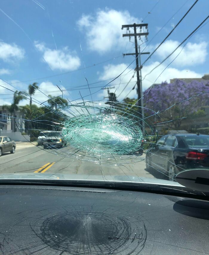 Una pelota de golf perdida golpeó nuestro parabrisas de camino a la playa