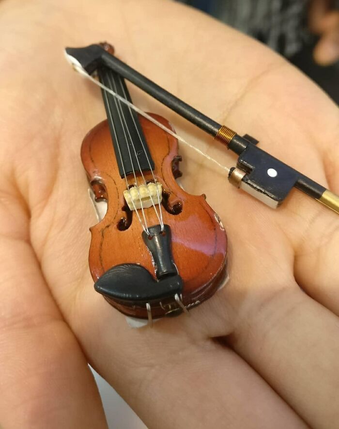 ¿Es un violín para hormigas?