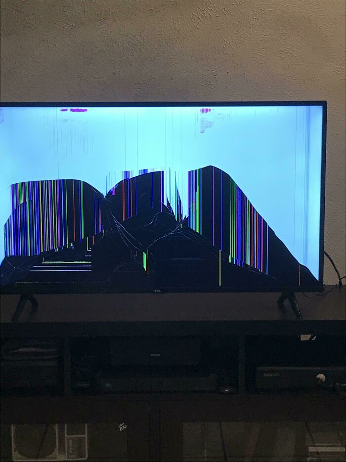 Mi hermana gastó su propio dinero en un nuevo televisor para mi papá en Navidad. Lo abrió y lo encendió y vemos esto